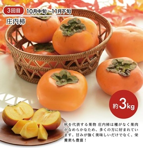 SE0487 【3回定期便】庄内の美味しい果物お届け便2026 (小玉すいか、刈屋梨、庄内柿)