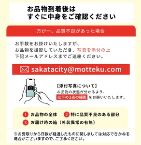 SE0336　【3回定期便】庄内の口福フルーツマルッとお届け便2025 (アンデスメロン、刈屋梨、庄内柿)