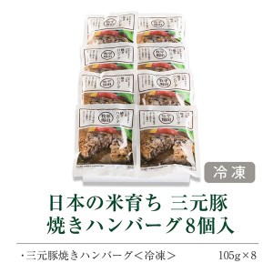 SA0715　平田牧場　日本の米育ち三元豚焼きハンバーグ　8個
