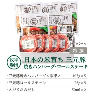SB0050　平田牧場　日本の米育ち三元豚ハンバーグ＆ロールステーキギフト