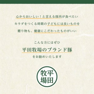 SB0050　平田牧場　日本の米育ち三元豚ハンバーグ＆ロールステーキギフト