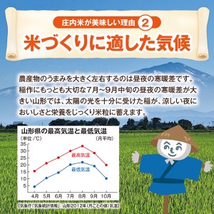 SD0121　令和6年産【精米】庄内米3種食べ比べ はえぬき、つや姫、ひとめぼれ　計15kg(5kg×3袋) JM