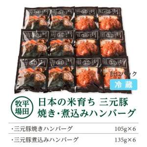 SC0104　平田牧場　日本の米育ち三元豚　調理済み・焼きハンバーグ＆煮込みハンバーグセット