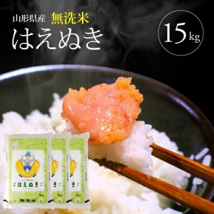 SB0174 令和2年産 無洗米はえぬき 15kg(5kg×3袋) TO