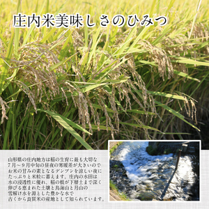 SA2832 令和7年産【精米】はえぬき 5kg×1袋 《農産物検査員おすすめの庄内米》 SY