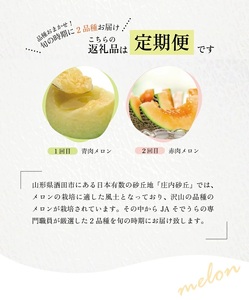 SD0221　【2回定期便】メロン好きに贈る 青・赤 彩りメロメロ定期便2026