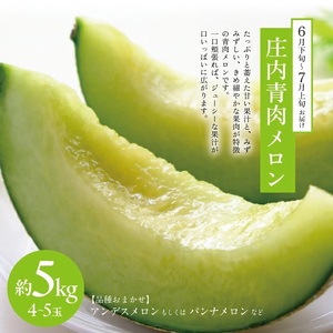 SD0221　【2回定期便】メロン好きに贈る 青・赤 彩りメロメロ定期便2026