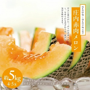 SD0221　【2回定期便】メロン好きに贈る 青・赤 彩りメロメロ定期便2026