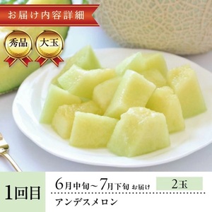 SE0492　【3回定期便】酒田のメロン三昧お楽しみセット2026 (アンデスメロン、赤肉メロン、アールスメロン)