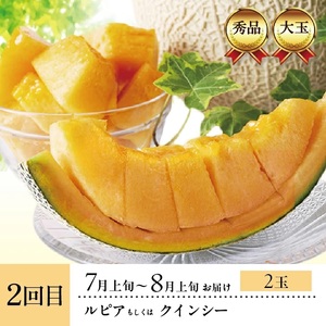 SE0492　【3回定期便】酒田のメロン三昧お楽しみセット2026 (アンデスメロン、赤肉メロン、アールスメロン)