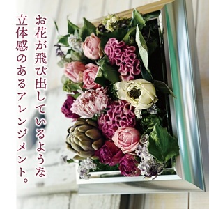 SL0242　壁に飾るフリーズドライフラワー「フレームフラワー　シルバー」水のいらない花　ゼロフラワー