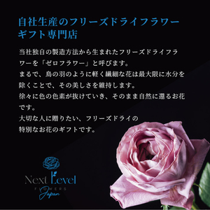 SL0242　壁に飾るフリーズドライフラワー「フレームフラワー　シルバー」水のいらない花　ゼロフラワー