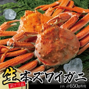 SB0765　【訳あり】春の生・本ズワイガニ 2匹(計650g程度)