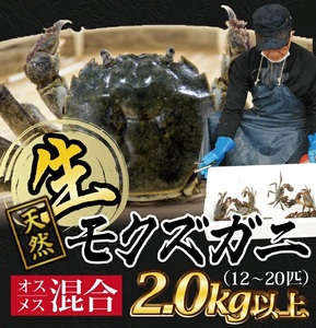 SB0770 春の生・天然モクズガニ 2kg以上(12~20匹入)