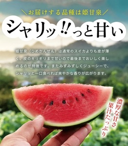 SZ0330　山形県産 小玉スイカ 姫甘泉 「ルパン」　4kg以上(2玉入) 朝採り 農家直送
