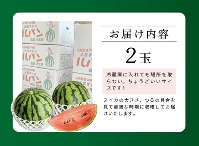 SZ0330　山形県産 小玉スイカ 姫甘泉 「ルパン」　4kg以上(2玉入) 朝採り 農家直送