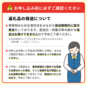 SA2575　庄内産 小玉すいか　約3kg(2玉入) 品種おまかせ