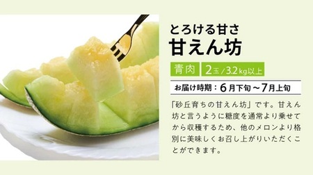 SE0504　【3回定期便】自然の恵み　春・夏フルーツ定期便2026(いちご、青肉メロン、小玉スイカ)