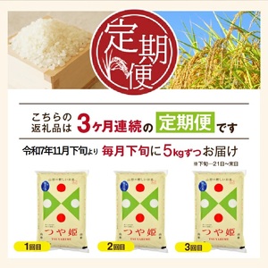 SE0389 11月下旬発送開始/【3回定期便】令和7年産 無洗米 特別栽培米 つや姫 5kg×3回(計15㎏)「農家直送」 KA