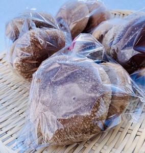 SA2629　サイトウ農園の菌床生シイタケ　計600g以上(150g以上×4袋)