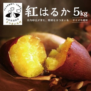 SB0762　豊富な地下水と海からの潮風が育んださつまいも（紅はるか）　5kg