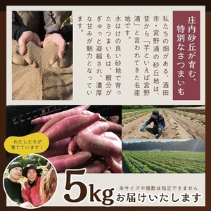 SB0762　豊富な地下水と海からの潮風が育んださつまいも（紅はるか）　5kg