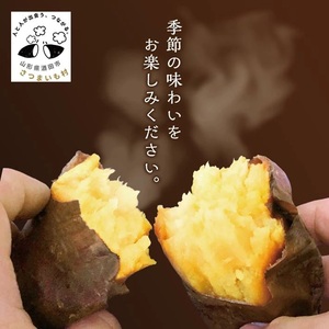 SB0762　豊富な地下水と海からの潮風が育んださつまいも（紅はるか）　5kg