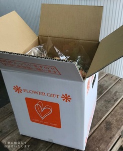 SBT0016　お正月飾りのアレンジメント（小） 2026