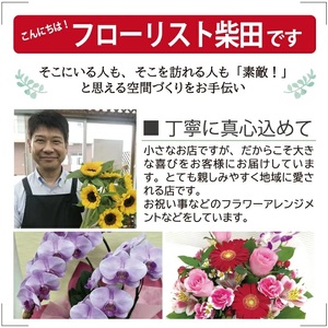 SBT0016　お正月飾りのアレンジメント（小） 2026