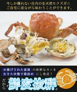 SB0771　生・天然モクズガニ　2kg以上(12～20匹入)