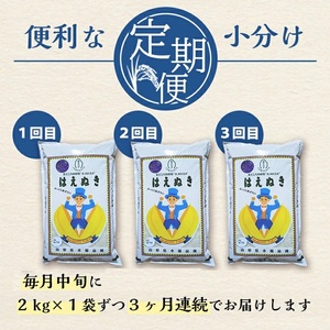 SC0620 【3回定期便】無洗米 はえぬき 2kg×3回(計6kg) SA