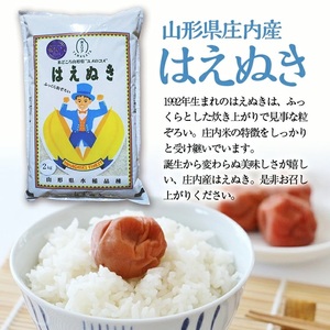 SC0620 【3回定期便】無洗米 はえぬき 2kg×3回(計6kg) SA