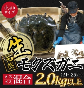 SB0766　小ぶりな生・天然モクズガニ　2kg以上(21～25匹入)