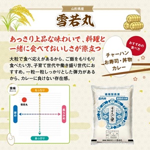 SE0499　【5回定期便】令和7年産 ［精米］雪若丸　2kg×5回(計10kg)