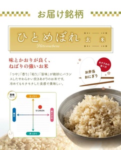 SA2790 令和7年産【玄米】ひとめぼれ 5kg 農家直送 HO