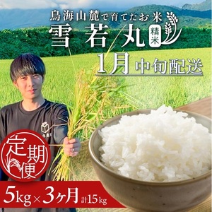 SF0316　1月中旬発送開始／【3回定期便】令和7年産 ［精米］雪若丸　5kg×3回(計15kg) 農家直送 HO