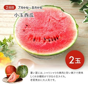 SE0493 【3回定期便】果汁がひろがる! 酒田の美味しい果物お届け便2026 (アンデスメロン・小玉すいか・刈屋梨)