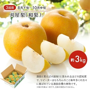 SE0493 【3回定期便】果汁がひろがる! 酒田の美味しい果物お届け便2026 (アンデスメロン・小玉すいか・刈屋梨)