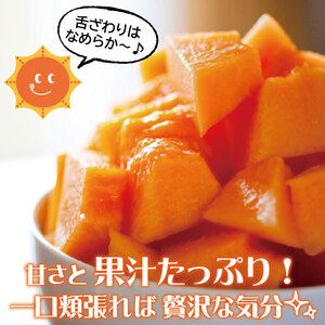 SB0843　大玉赤肉メロン　8kg以上(4～5玉入) つる無し