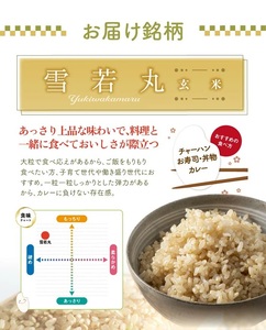 SA2789　令和7年産【玄米】雪若丸　5kg(5kg×1袋) 農家直送 HO