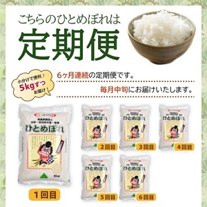 SJ0058　【6回定期便】令和7年産［精米］ひとめぼれ　5kg×6回(計30kg) JS