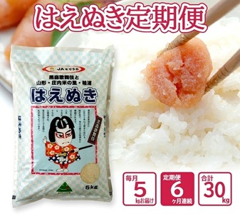 SJ0057　【6回定期便】令和7年産［精米］はえぬき　5kg×6回(計30kg) JS