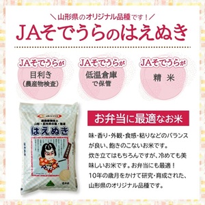 SF0337　【3回定期便】令和7年産［精米］はえぬき　5kg×3回(計15kg) JS