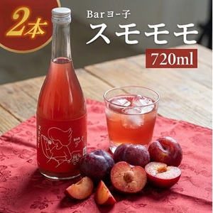 SB0834　酒田の酒屋厳選　楯の川 BARヨー子 スモモモ　720ml×2本