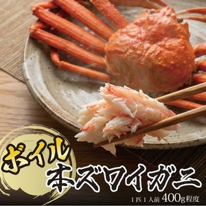 SD0235 春のボイル・本ズワイガニ 1匹400g程度