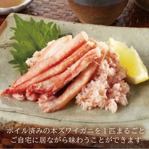 SD0235 春のボイル・本ズワイガニ 1匹400g程度