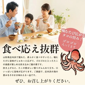 SA2821 庄内浜 たこ飯の素 240g(2合用)×3袋