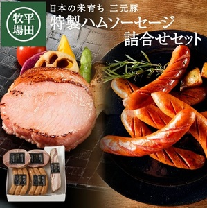 SC0635　【平田牧場】 特製ハムソーセージ 詰合せセット (CHK23-6)