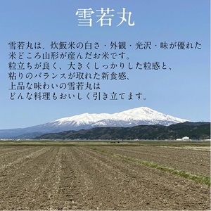 SA2842 令和7年産【白米】雪若丸 5kg(5kg×1袋) YA