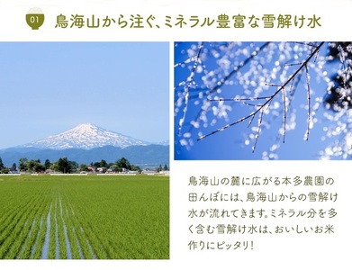 SA2867　令和7年産【精米】雪若丸　5kg 農家直送 HO